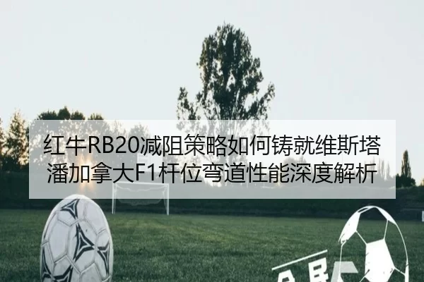 hong-niu-jian-zu-ce-lve-ru-he-zhu-jiu-wei-si-ta-pan-jia-na-da-gan-wei-wan-dao-xing-neng-shen-du-jie-xi-2-920.jpg